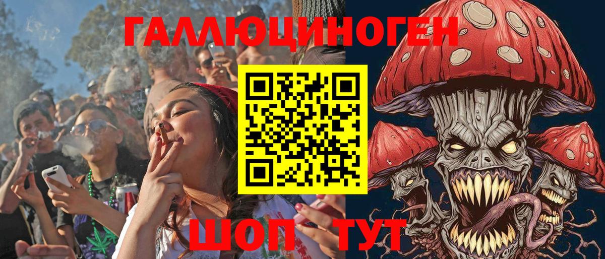 Фрязино  Псилоцибиновые грибы GOLDEN TEACHER  где можно купить   Вход с VPN 