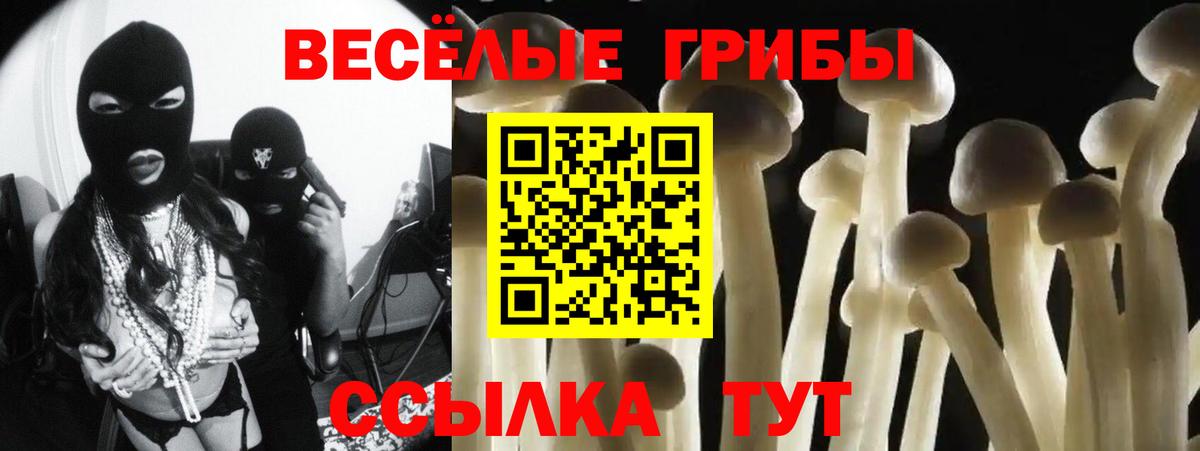 Псилоцибиновые грибы ЛСД Фрязино