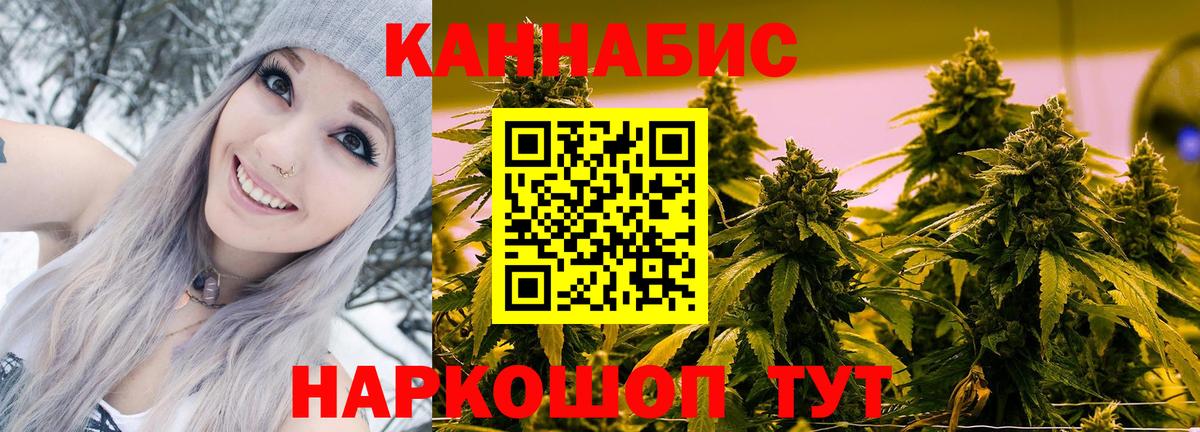 Бошки марихуана VHQ  Каннабис THC 21%  Фрязино  Каннабис THC 21%  Вход с VPN 